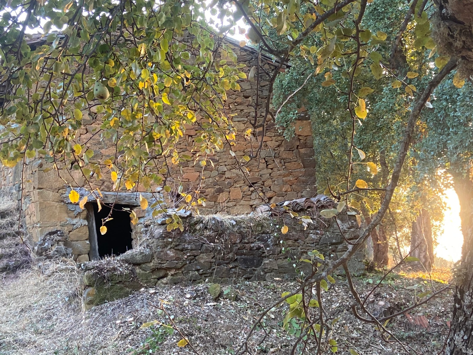 RURAL RETREAT