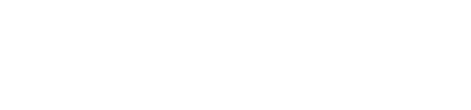 RAIZ Interiors